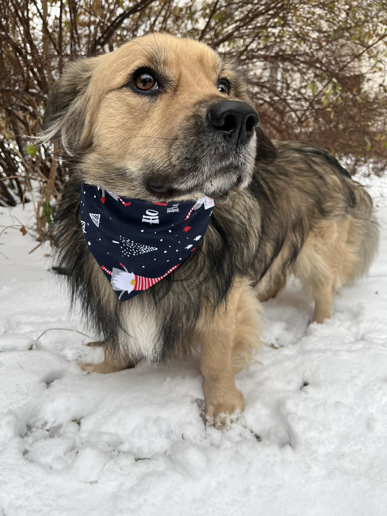 385559165_1285717692127700_981095872546612024_n